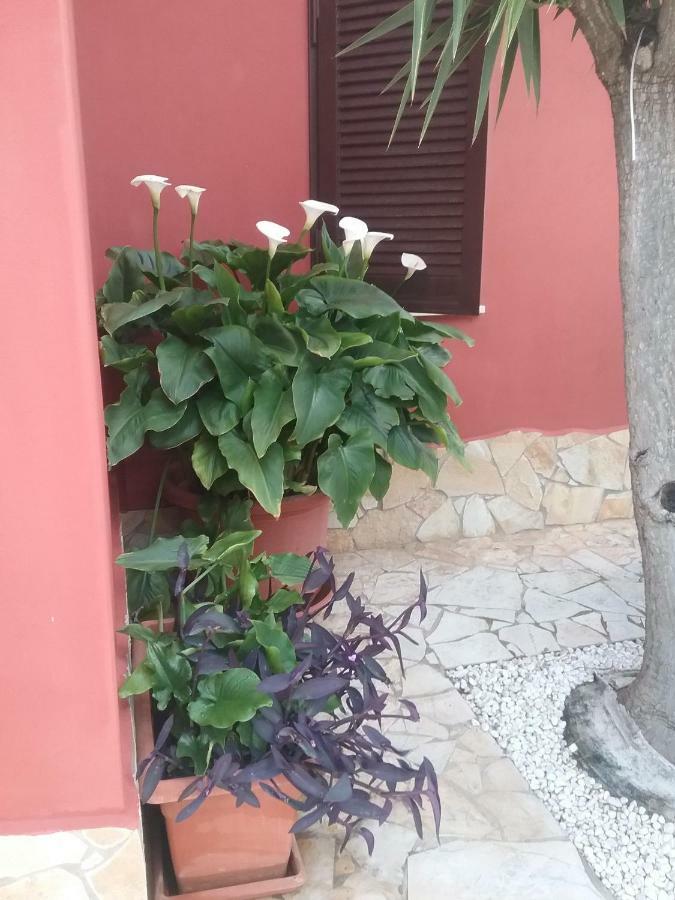 Stella Hotel Quartu Sant'Elena Bagian luar foto